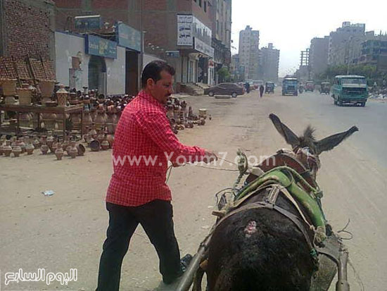 اليوم السابع -8 -2015