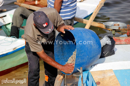 اليوم السابع -8 -2015