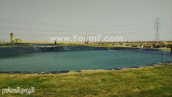 بحيرة مياه بالقرية -اليوم السابع -8 -2015