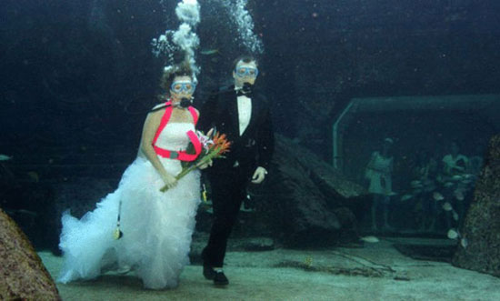  الزواج تحت الماء مازال مستمرا -اليوم السابع -8 -2015