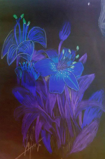 اليوم السابع -8 -2015 اليوم السابع -8 -2015