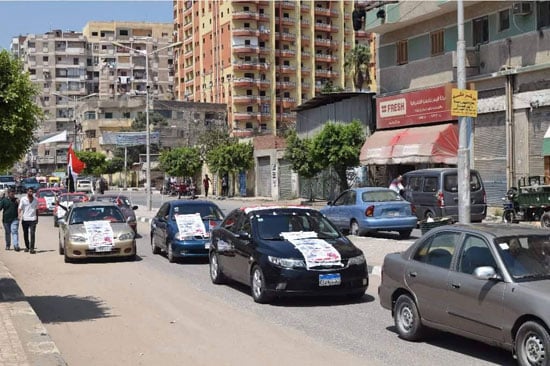  أعلام مصر كتب عليها لا للإرهاب -اليوم السابع -8 -2015