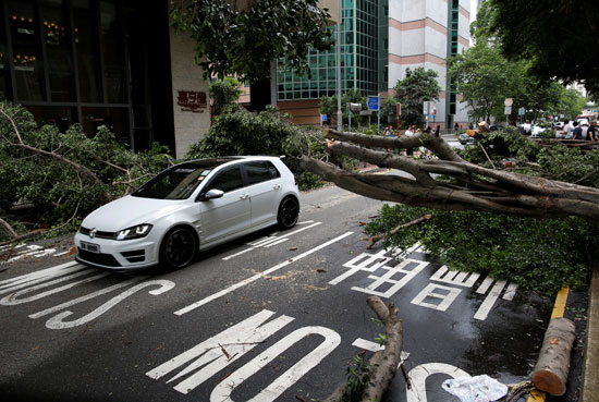 اعصار هونج كونج (2)