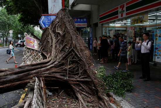 اعصار هونج كونج (3)