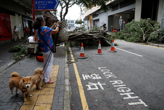 اعصار هونج كونج (4)