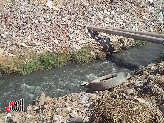 1كارثة بيئية تلوث مياه النيل بأسوان (2)