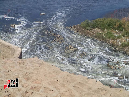 1كارثة بيئية تلوث مياه النيل بأسوان (3)