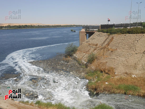 1كارثة بيئية تلوث مياه النيل بأسوان (4)