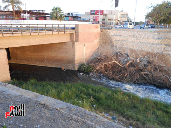 1كارثة بيئية تلوث مياه النيل بأسوان (5)