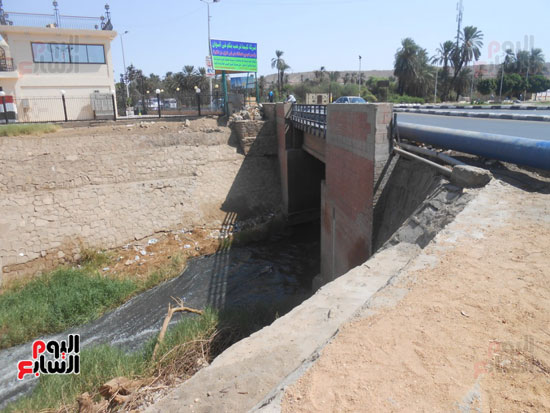 1كارثة بيئية تلوث مياه النيل بأسوان (7)