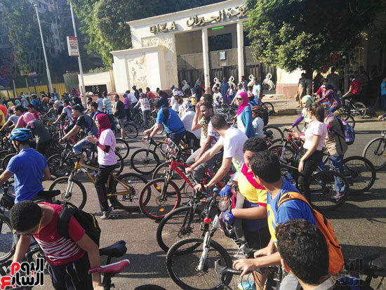 انطلاق ماراثون دراجات لـ150شابا من جامعة القاهرة لشوارع الزمالك (2)