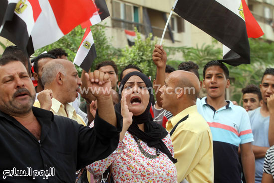  أعلام مصر وهتافات ضد المشاركين فى وقفة رفض قانون الخدمة المدنية -اليوم السابع -9 -2015