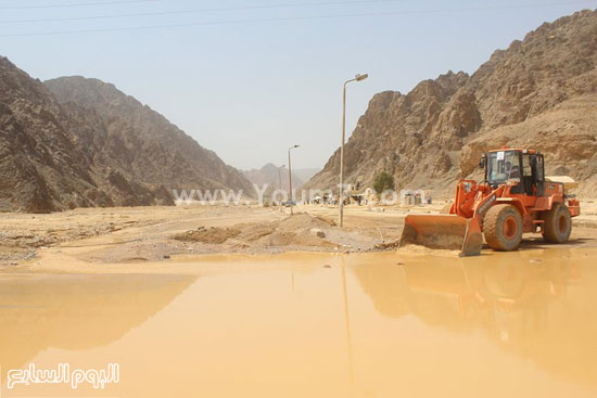 اليوم السابع -9 -2015