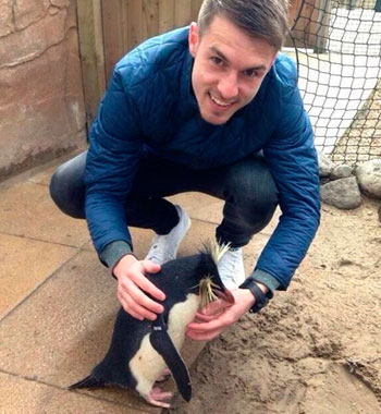 الويلزى آرون رامسى لاعب خط وسط أرسنال الإنجليزى، مع حيوان البطريق -اليوم السابع -9 -2015