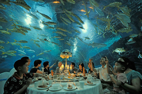 	سياح يتغدون فى مطعم سمى بعالم المحيطات فى مدينة تيان تسن الصينية والسمك يسبح حولهم -اليوم السابع -9 -2015