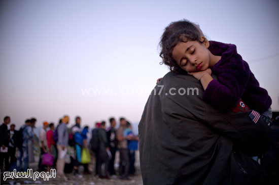 طفلة لاجئة لم تجد إلا ساعد الأب لاستراحة قصيرة فى رحلة بلا نهاية -اليوم السابع -9 -2015
