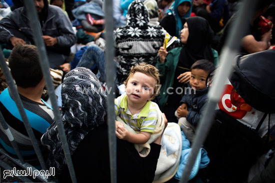 السوريون يبحثون عن مأوى على حدود سلوفينيا وسط صمت المجتمع الدولى -اليوم السابع -9 -2015