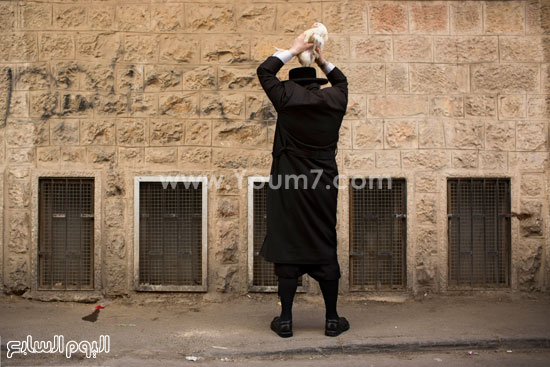 يهود إسرائيل يتطهرون بنقل خطاياهم للدجاج فى عيد الغفران -اليوم السابع -9 -2015
