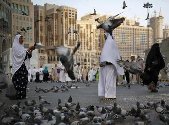 اليوم السابع -9 -2015