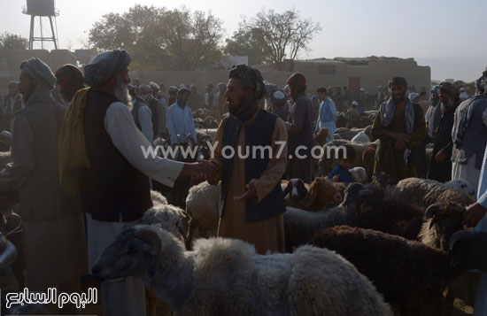 أحد الأشخاص يتحدث إلى بائع الماشية لشراء الأضحية فى مزار الشريف – أفغانستان  -اليوم السابع -9 -2015