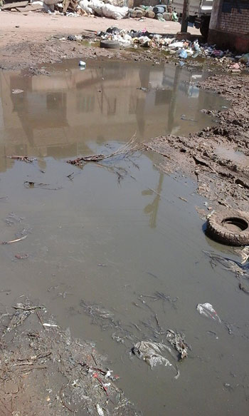 اليوم السابع -9 -2015