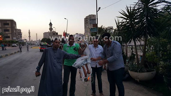 اليوم السابع -9 -2015