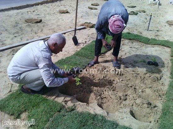 اليوم السابع -9 -2015