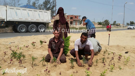 اليوم السابع -9 -2015