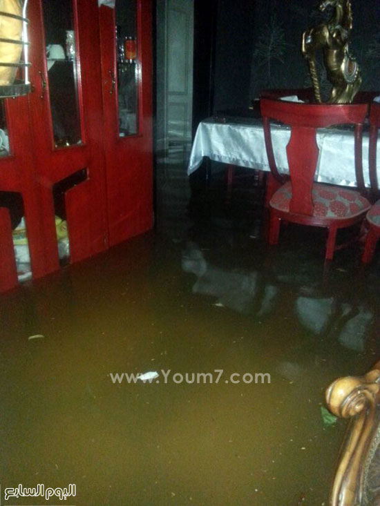 اليوم السابع -9 -2015