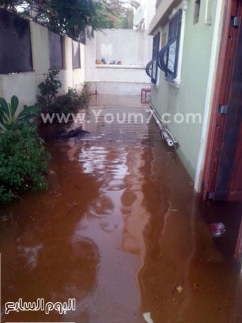 اليوم السابع -9 -2015