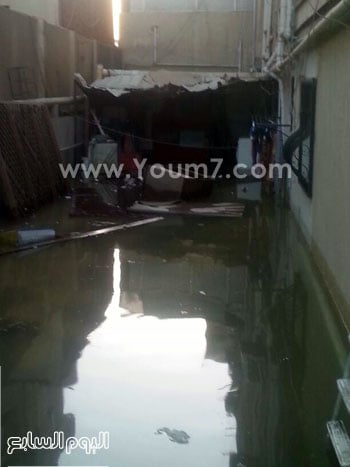 اليوم السابع -9 -2015