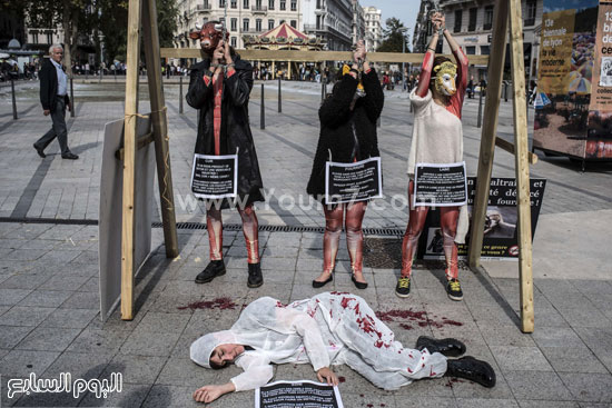 النشطاء يرتدون الاقنعة رافعين لافتات تدعم حقوق الحيوان  -اليوم السابع -9 -2015