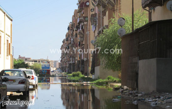 اليوم السابع -9 -2015