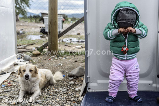 أحد أطفال المهاجرين -اليوم السابع -9 -2015