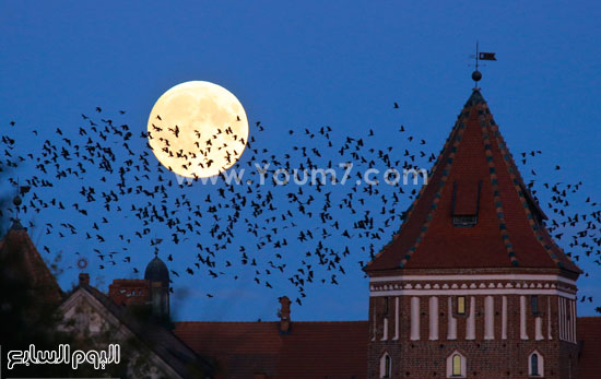 القمر في روسيا البيضاء -اليوم السابع -9 -2015