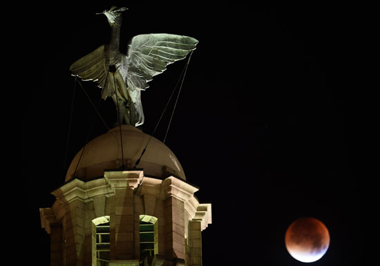  القمر المكتمل يتحول إلى الخسوف الكلى فى ليفربول – إنجلترا  -اليوم السابع -9 -2015