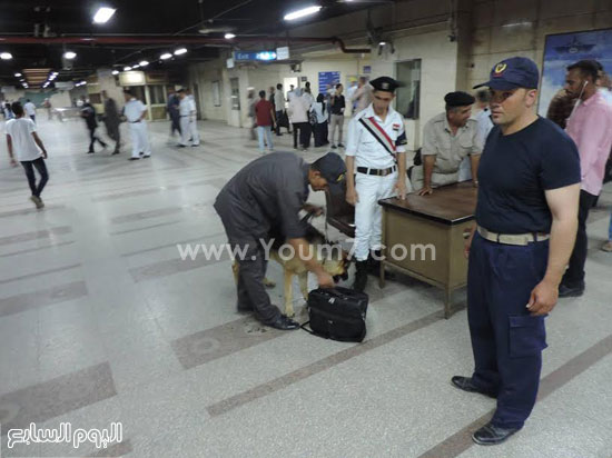 اليوم السابع -9 -2015