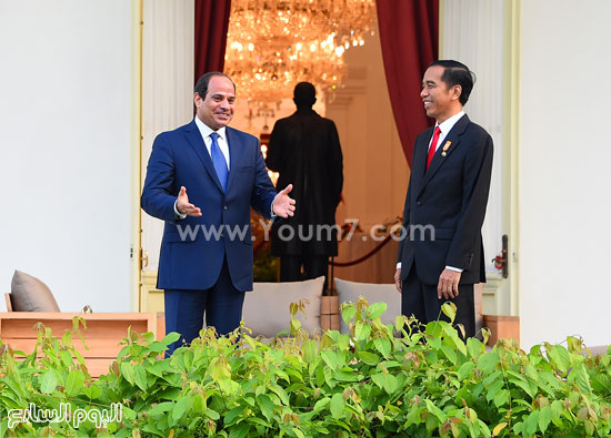 اليوم السابع -9 -2015 اليوم السابع -9 -2015