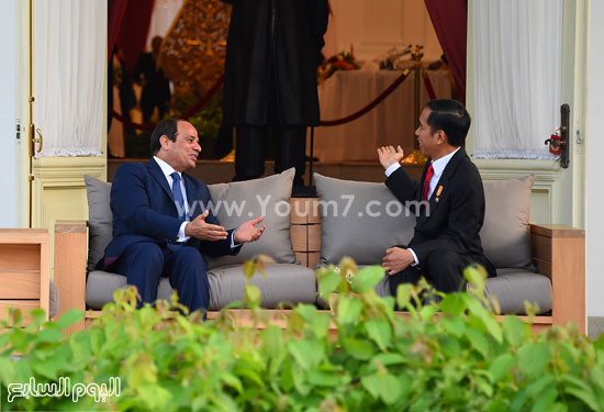 اليوم السابع -9 -2015 اليوم السابع -9 -2015