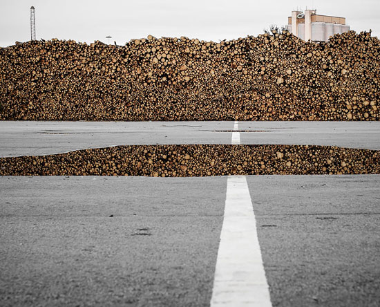 مجموعة من الأخشاب المتراكمة فوق بعضها البعض على صفى الطريق ملتقطة بشكل جعلها تظهر وكأنها فوتوشوب -اليوم السابع -9 -2015