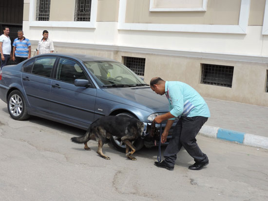 اليوم السابع -9 -2015