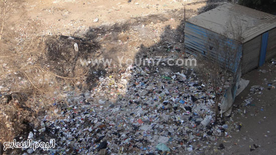 اليوم السابع -9 -2015