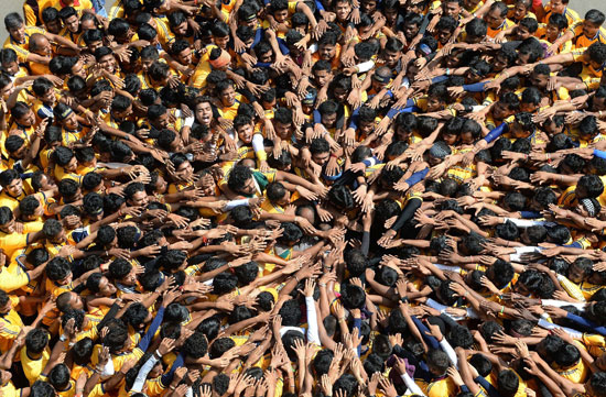 الهندوس يحاولون تشكيل هرم بشرى فى محاولة للوصول إلى وعاء اللبن  -اليوم السابع -9 -2015
