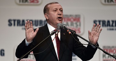 اردوغان: كل من يؤجج نيران الصراع السورى سيحترق بها  