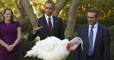 بالصور.. فى تقليد أمريكى قديم.. أوباما يعفو عن ديك رومى بمناسبة عيد الشكر  