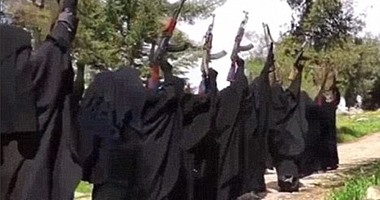 بالأرقام والإحصائيات.. ديلى ميل تكشف: تنظيم داعش الإرهابى نصه  ستات   