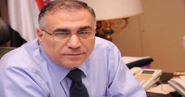السفير محمد بدر الدين زايد رئيس الهيئة العامة للاستعلامات