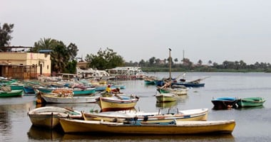 معلومات عن التماسيح في بحيرة محمد علي بمحافظة الاسماعيلية