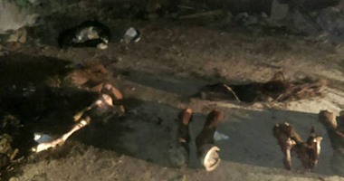 تموين الإسكندرية: ظاهرة العثور على أشلاء خيول متكررة بالعصافرة  