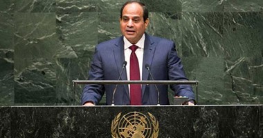 المالديف تعلن دعمها لترشح مصر للعضوية غير الدائمة بمجلس الأمن  